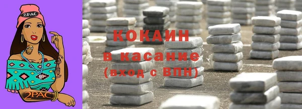 индика Лабытнанги