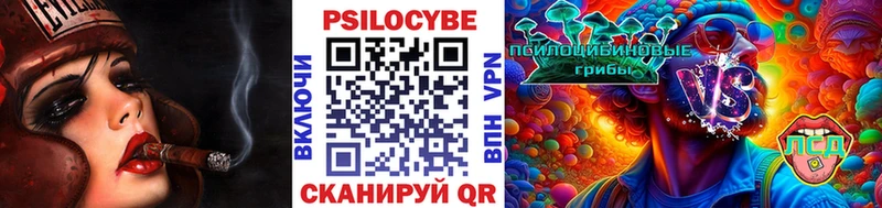 Галлюциногенные грибы Magic Shrooms  Андреаполь 